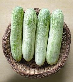 Cucumber