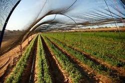 Net For Crop Protection