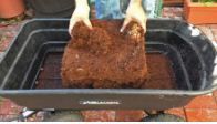 Coco Peat Compost