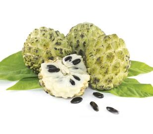 Custard Apple