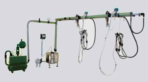 Pipeline Milking Parlour