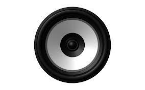 Black Audio Speaker Driver