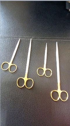 Surgical Scissor