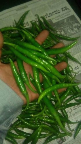 Fresh Green Chilli