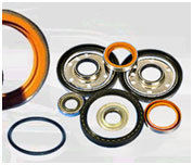 ADVANCE Oil Seals