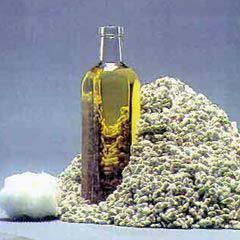 Cotton Seeds Oil