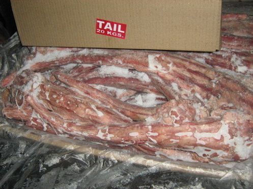 Frozen Buffalo Tail