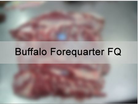 Frozen Halal Buffalo Forequarter