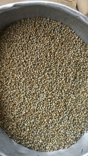 Green Millet