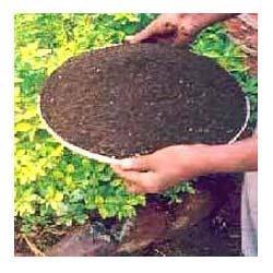 Organic Bio Fertilizer