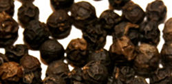 Black Pepper