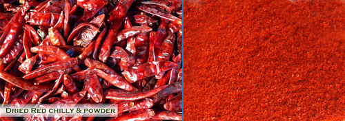 Dried Red Chilly and Powder