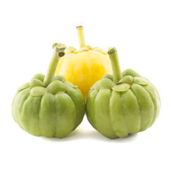 Garcinia Cambogia Extract