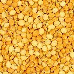 Yellow Pea Pulse