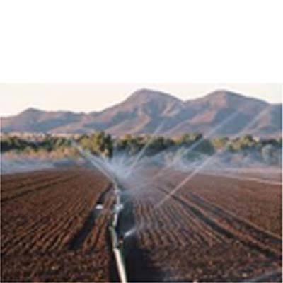 Sprinkler Irrigation System