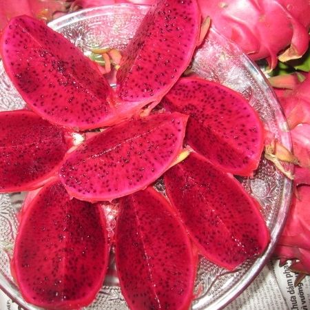 Fresh Dragon Fruit