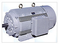 Energy Efficient Motors