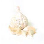 Fresh Garlic