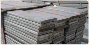 Stainless Steel Flats