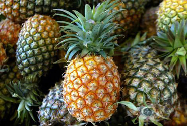 Fresh Pineapples By BeverEx Hungary Kft