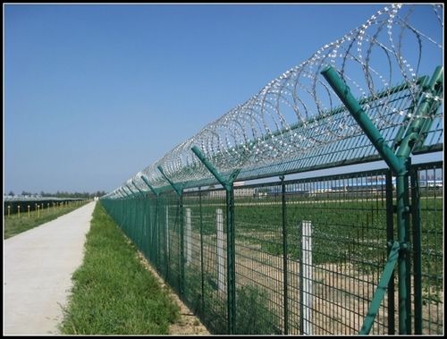 Concertina Wire