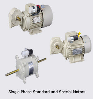 Single Phase Standard and Special Motors