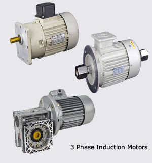  थ्री फेज इंडक्शन मोटर्स 