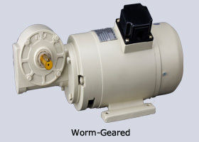 Worm-Geared DC Motor
