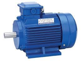 Heavy Duty Electric Motors