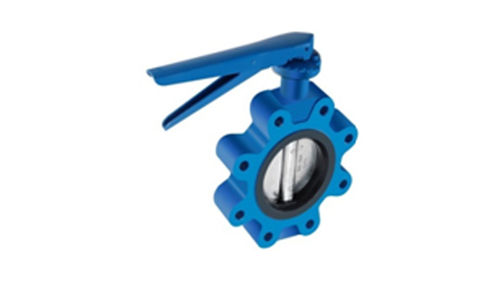 Plug Type Butterfly Valve