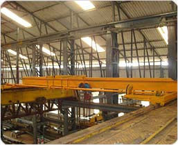 Single Girder EOT Cranes