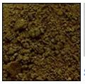 Groundnut Meal - Premium Grade Groundnut | Nutrient-Rich Cattle Feed, Long Shelf Life, High Purity