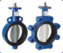 Resilient Replaceable Seat Butterfly Valve