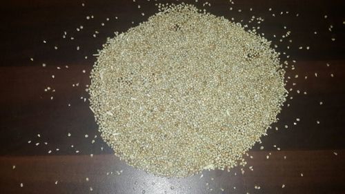 Green Millet