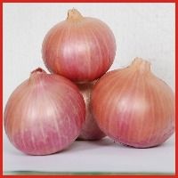 Bhagwa Onion