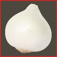 Safed Onion