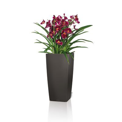 Lechuza Self Watering Planter(Cubico Premium)