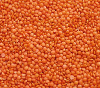 Organic Red Lentil