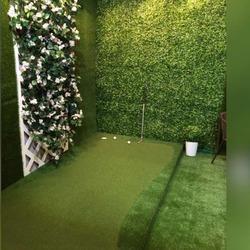 कृत्रिम घास और बोगेनवेला