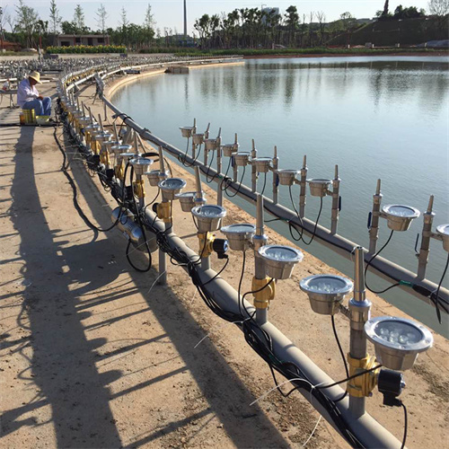 Dancing Water Fountain With Easy Mounting Design at Best Price in