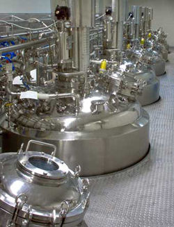 Liquid Oral Manufacturing Plants