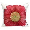 Cushions By Express Collection & Art