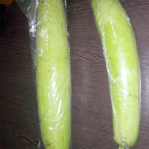 Bottle Gourd