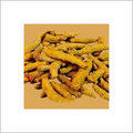 Dry Turmeric Fingers