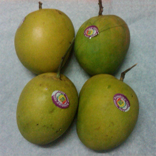 Fresh Ataulfo Mangoes