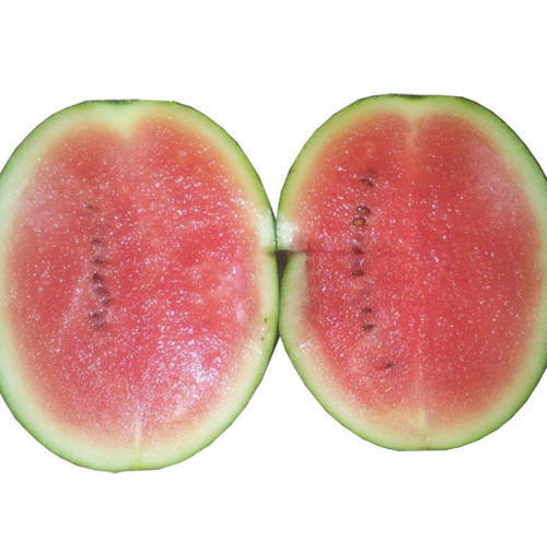 Indian Watermelon