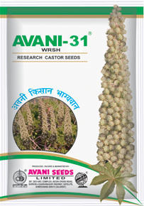 AVANI - 31WRSH (Research Castor Seeds)