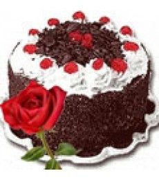 black forest cake