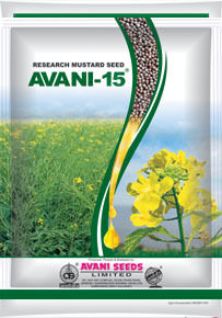 Research Mustard Seeds (AVANI 15)