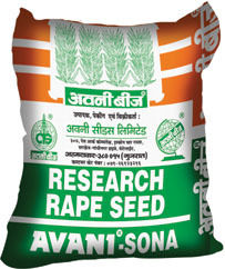 Research Rape Seed (AVANI SONA)